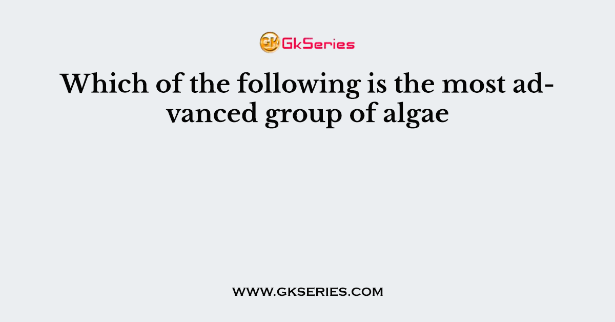 Which of the following is the most advanced group of algae