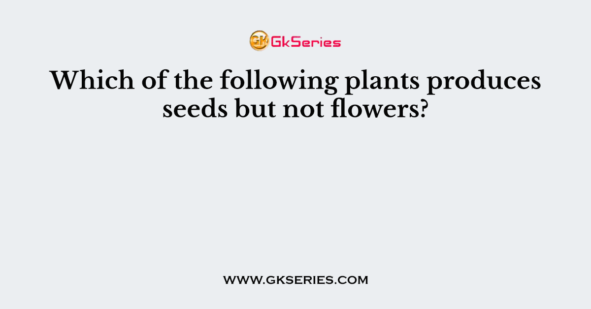 which-of-the-following-plants-produces-seeds-but-not-flowers