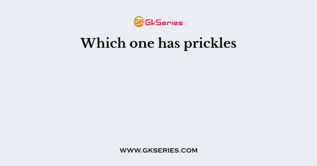 Which one has prickles