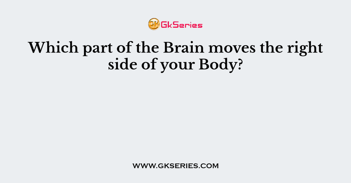 Which part of the Brain moves the right side of your Body?
