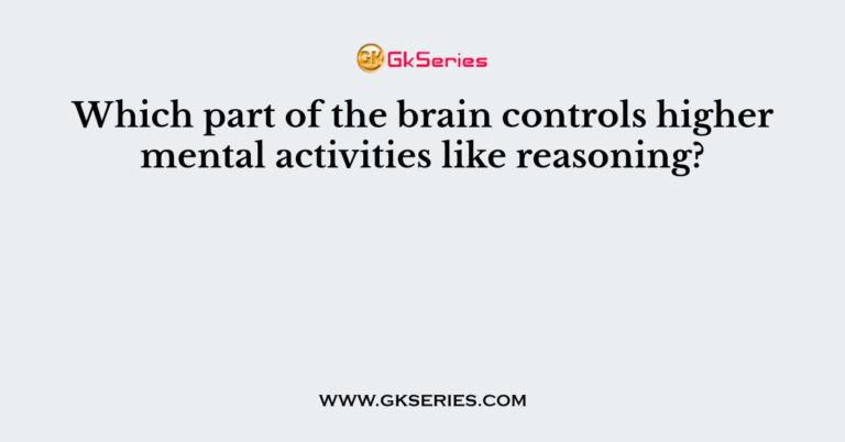 what part of the brain controls reasoning and problem solving