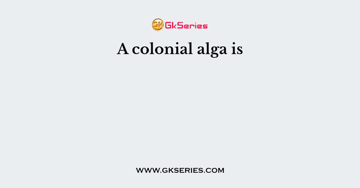 A colonial alga is