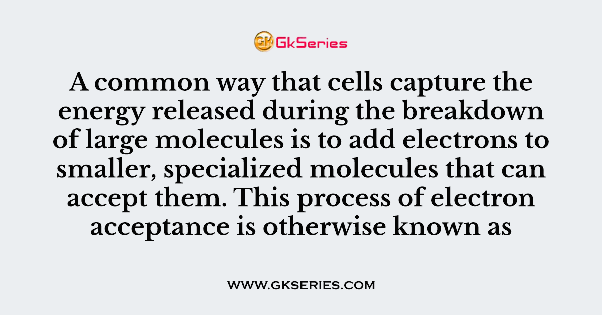 A common way that cells capture the energy released during the breakdown of large molecules is to add electrons to smaller, specialized molecules that can accept them. This process of electron acceptance is otherwise known as