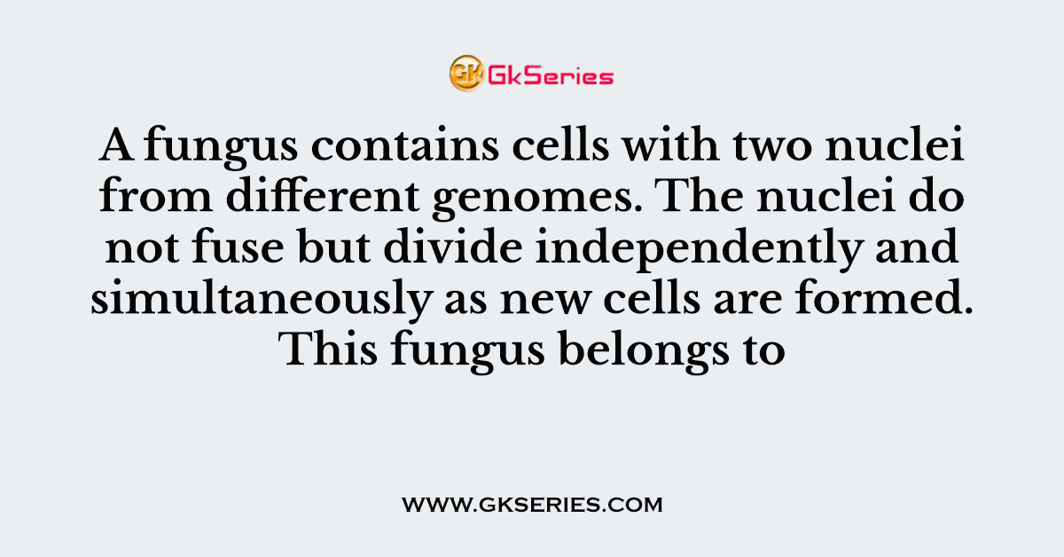 A fungus contains cells with two nuclei from different genomes. The nuclei do not fuse but divide independently and simultaneously as new cells are formed. This fungus belongs to