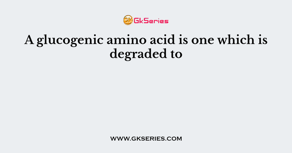 A glucogenic amino acid is one which is degraded to