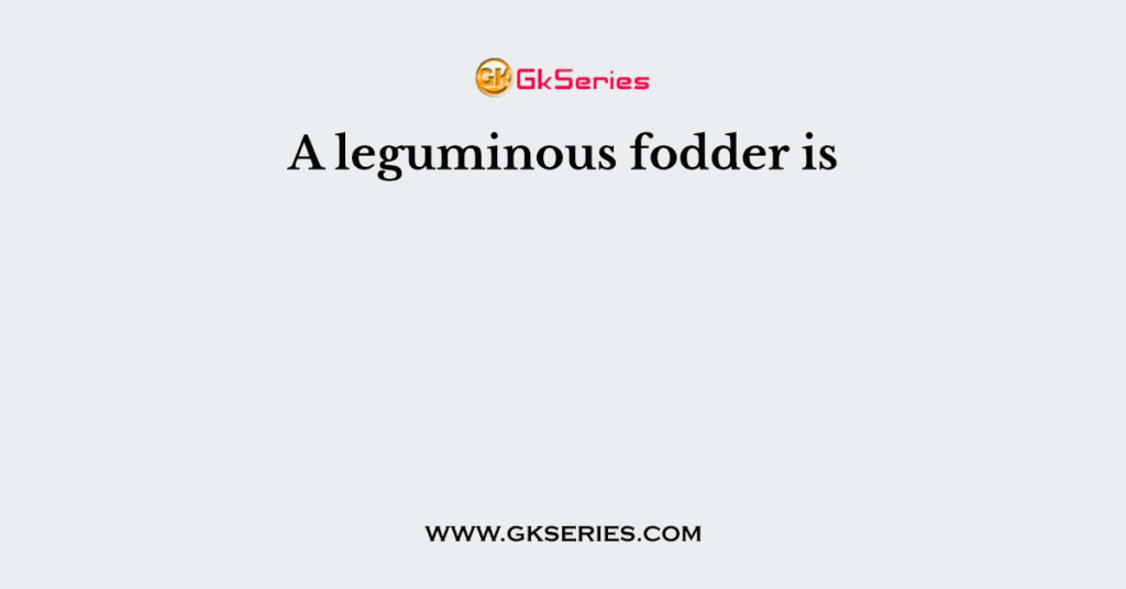 A leguminous fodder is