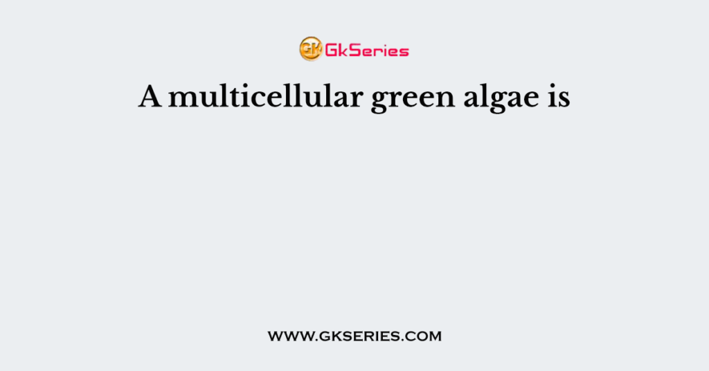 A multicellular green algae is