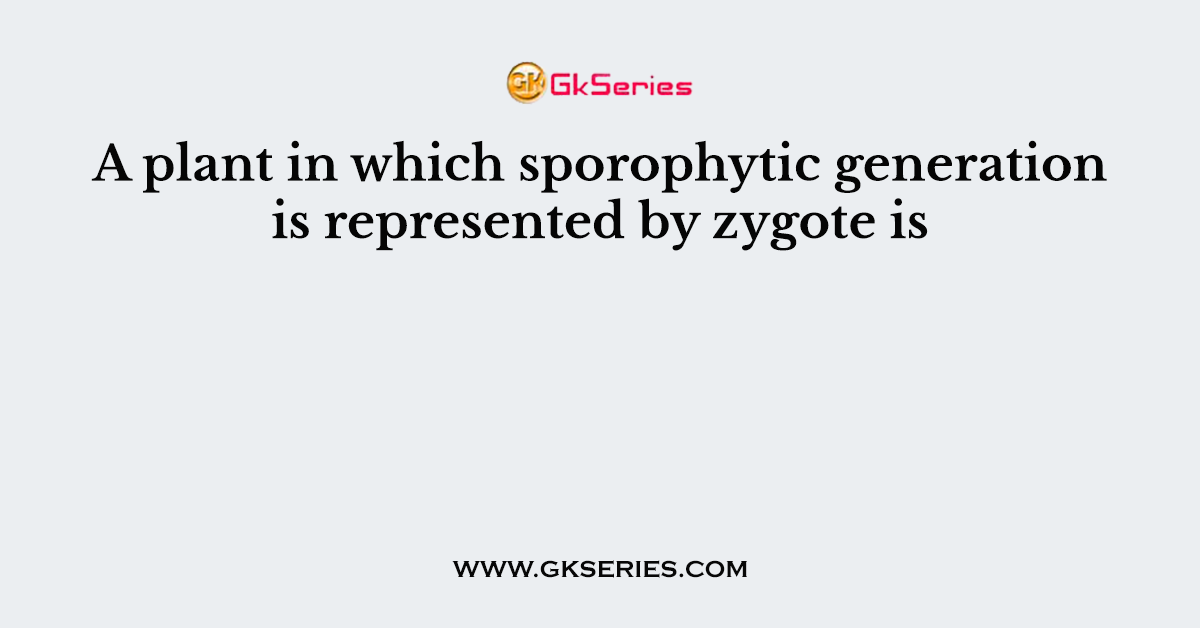 A plant in which sporophytic generation is represented by zygote is