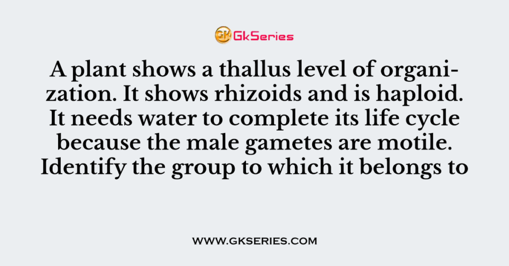 a-plant-shows-a-thallus-level-of-organization-it-shows-rhizoids-and-is