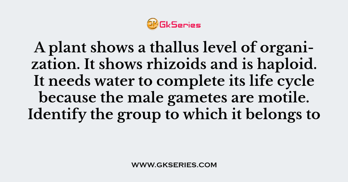 A plant shows a thallus level of organization