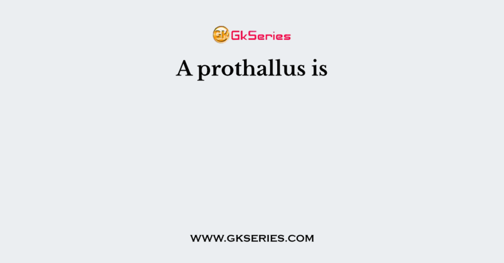 A prothallus is