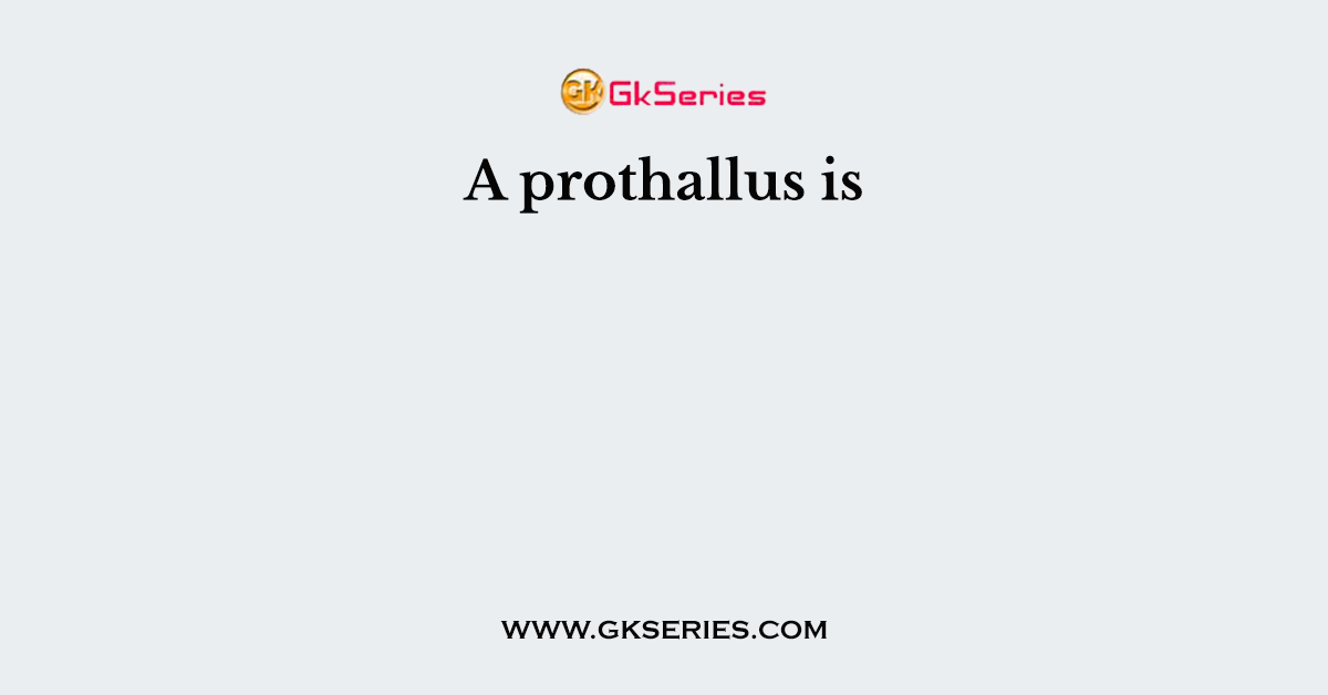 A prothallus is
