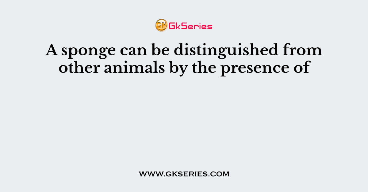 A sponge can be distinguished from other animals by the presence of