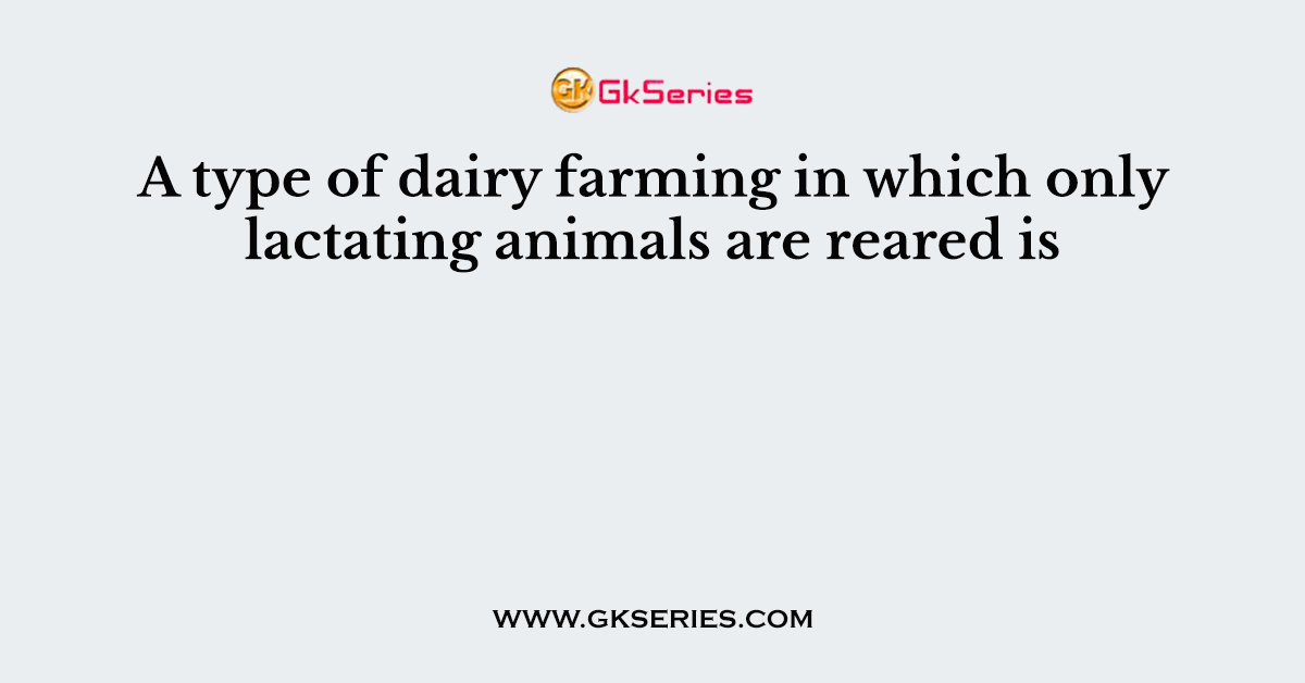 A type of dairy farming in which only lactating animals are reared is