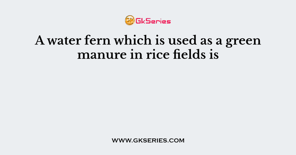 A water fern which is used as a green manure in rice fields is