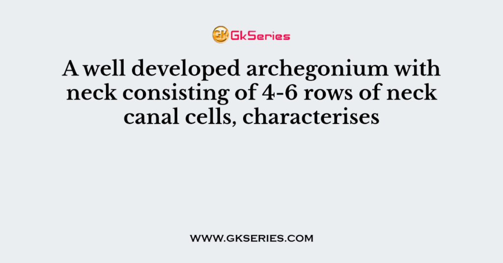 A well developed archegonium with neck consisting of 4-6 rows of neck canal cells, characterises