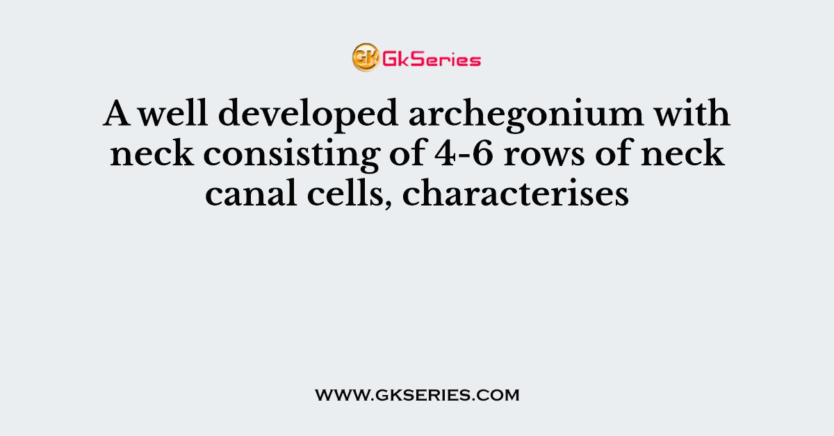 A well developed archegonium with neck consisting of 4-6 rows of neck canal cells, characterises