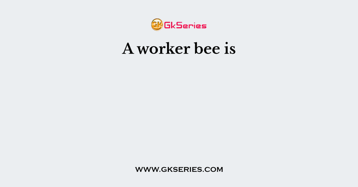A worker bee is