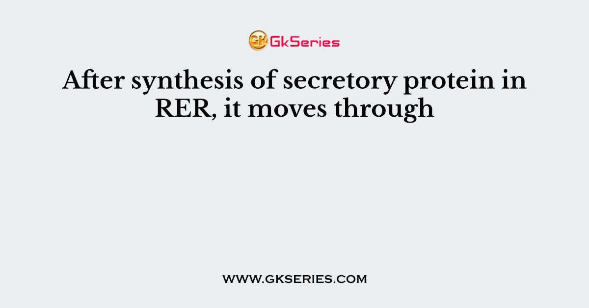 After synthesis of secretory protein in RER, it moves through