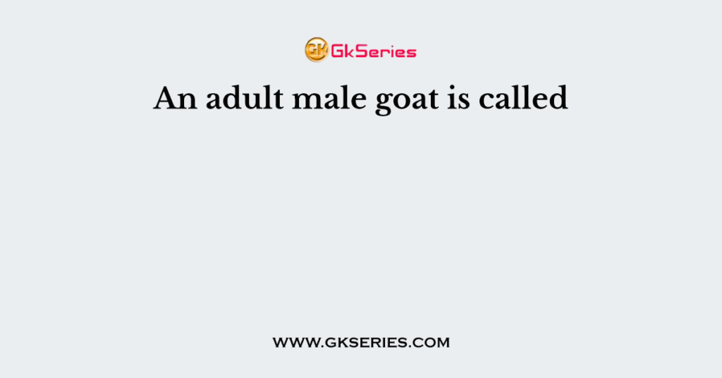 An Adult Male Goat Is Called