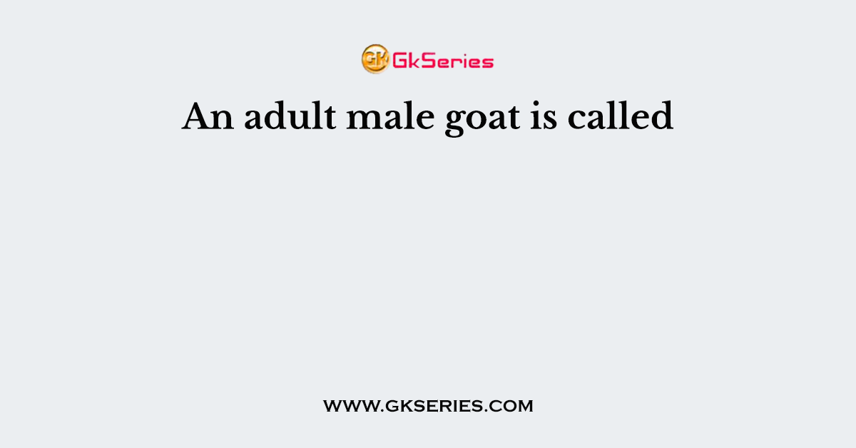 An adult male goat is called