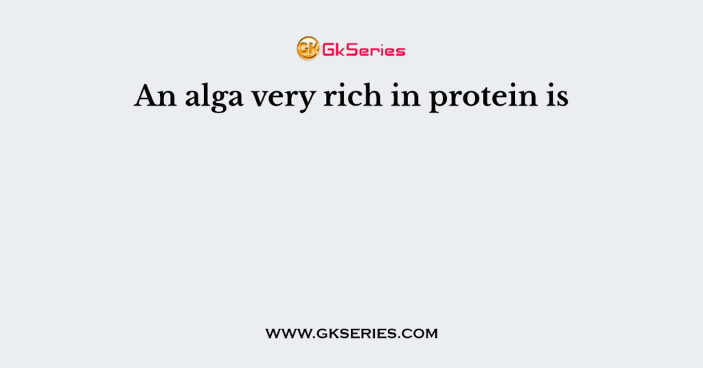 An alga very rich in protein is