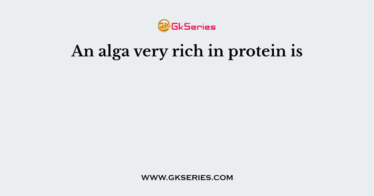 An alga very rich in protein is