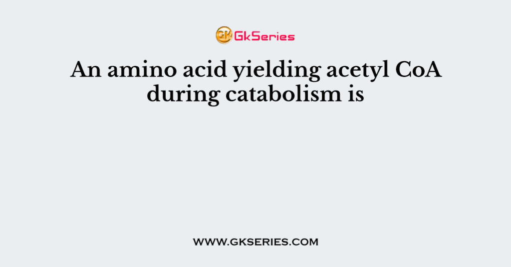 An amino acid yielding acetyl CoA during catabolism is