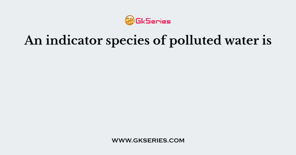 An indicator species of polluted water is