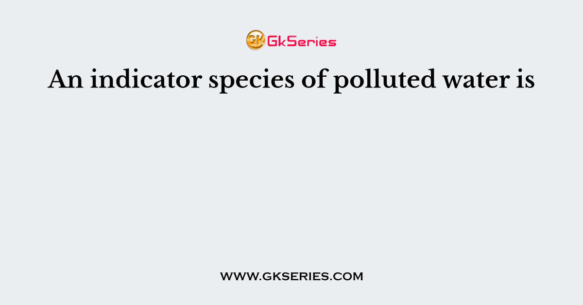 An indicator species of polluted water is