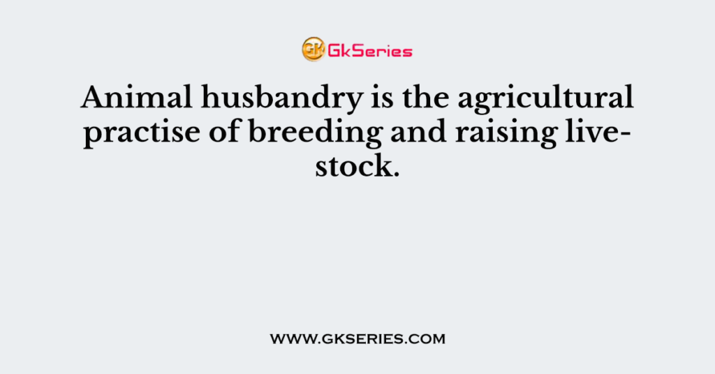 Animal husbandry is the agricultural practise of breeding and raising livestock.