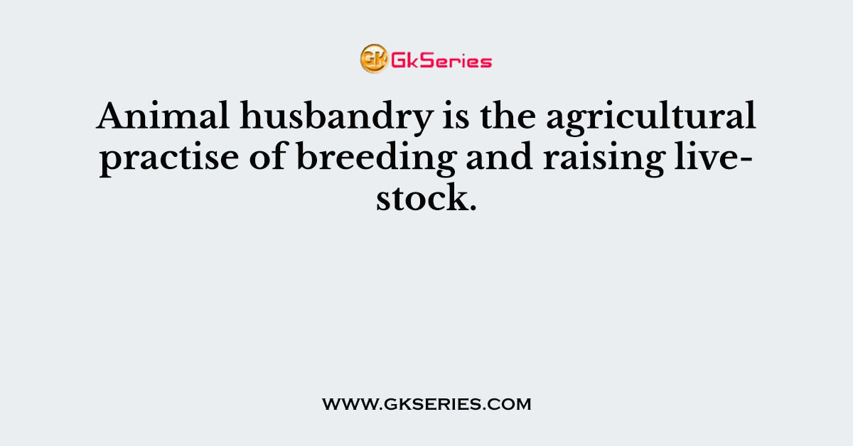 Animal husbandry is the agricultural practise of breeding and raising livestock.