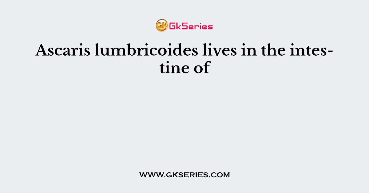 Ascaris lumbricoides lives in the intestine of