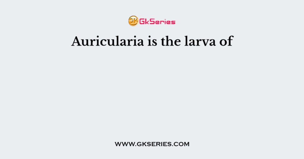 Auricularia is the larva of