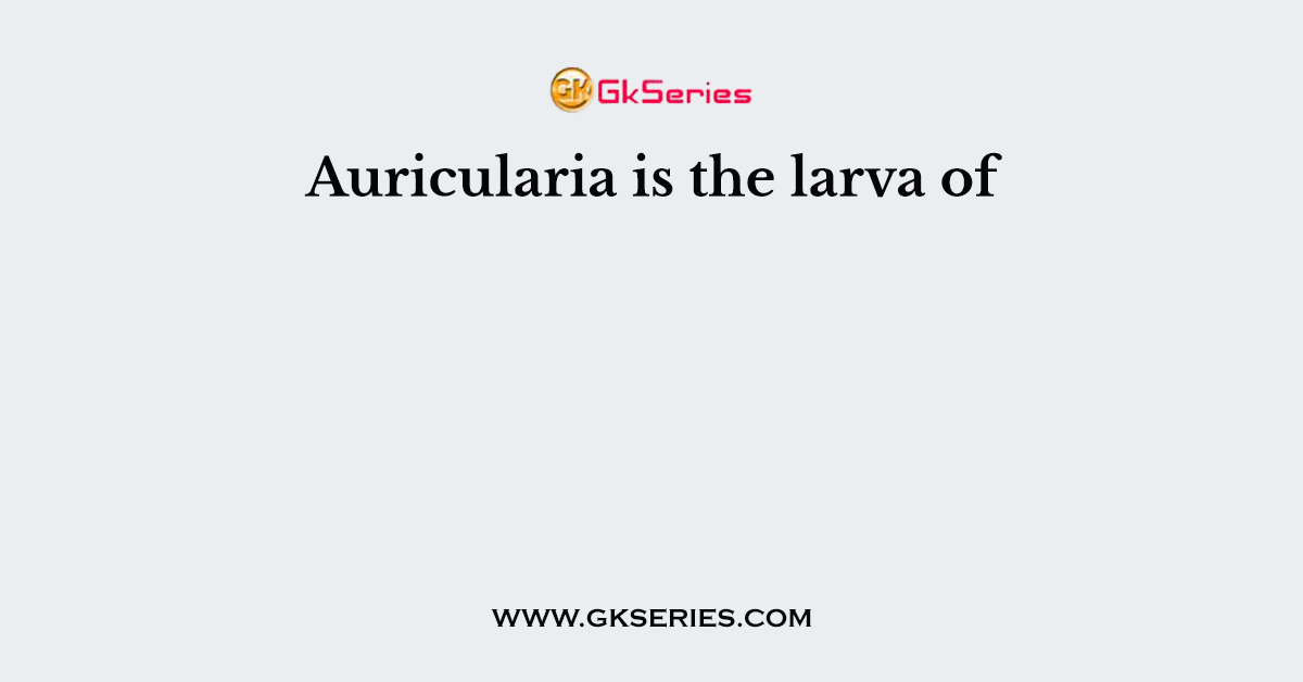 Auricularia is the larva of