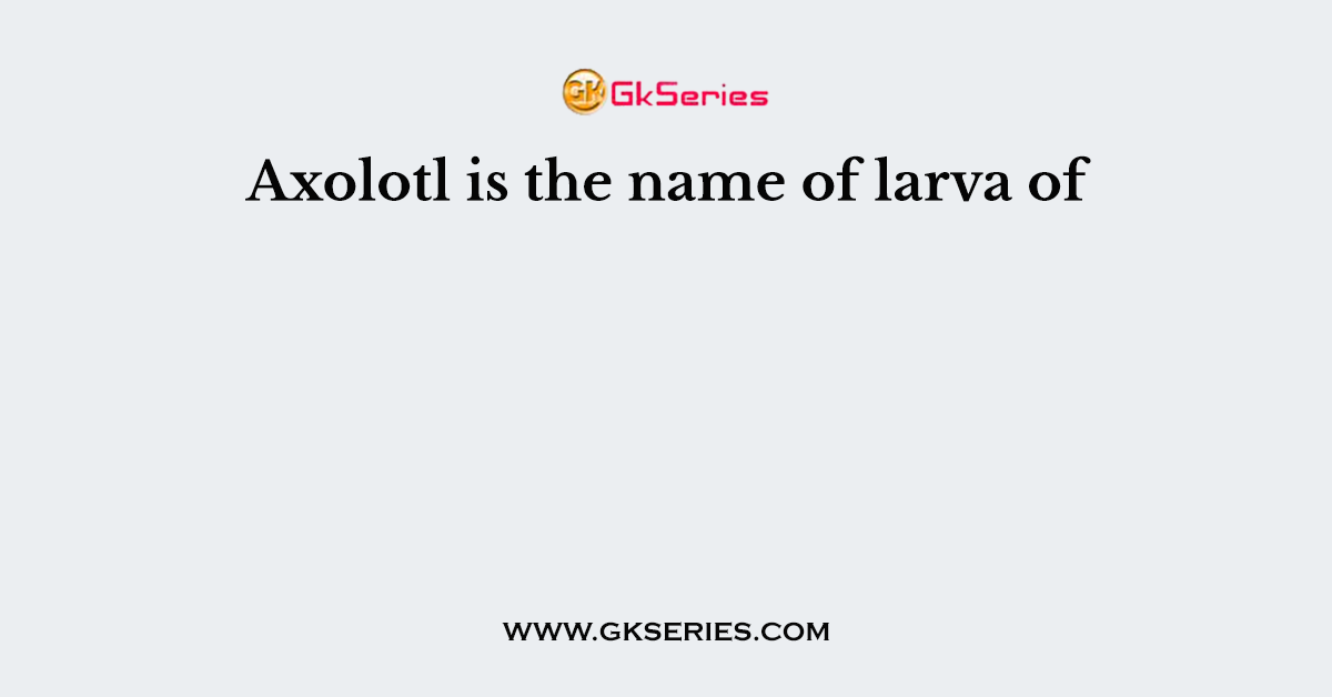 Axolotl is the name of larva of