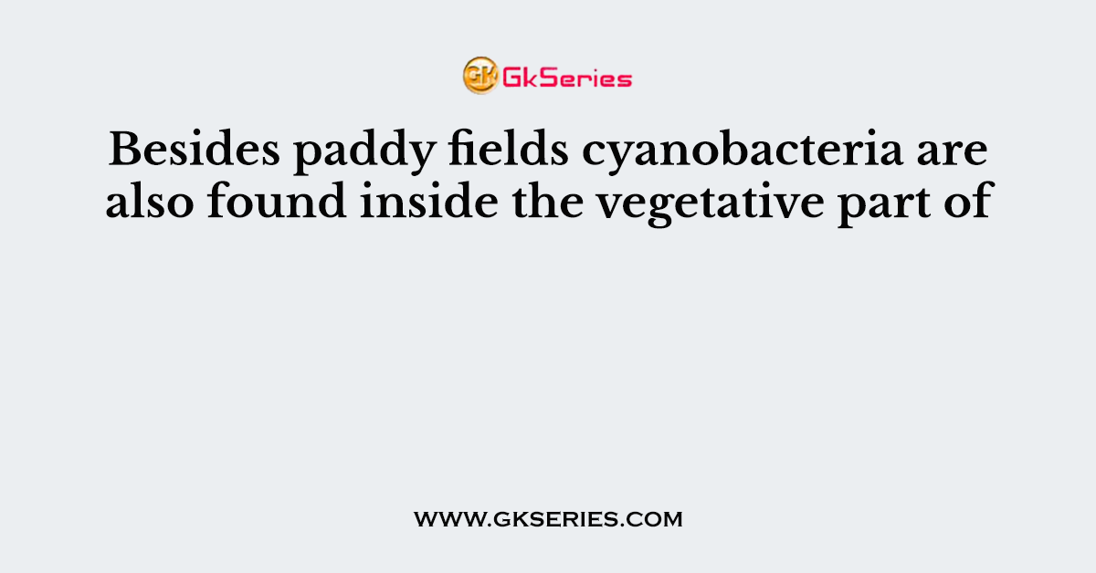 Besides paddy fields cyanobacteria are also found inside the vegetative part of