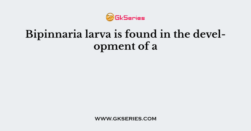 Bipinnaria larva is found in the development of a