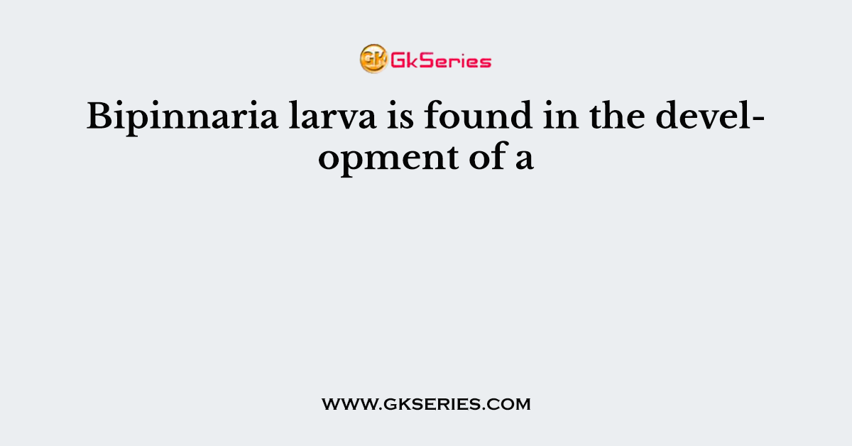 Bipinnaria larva is found in the development of a