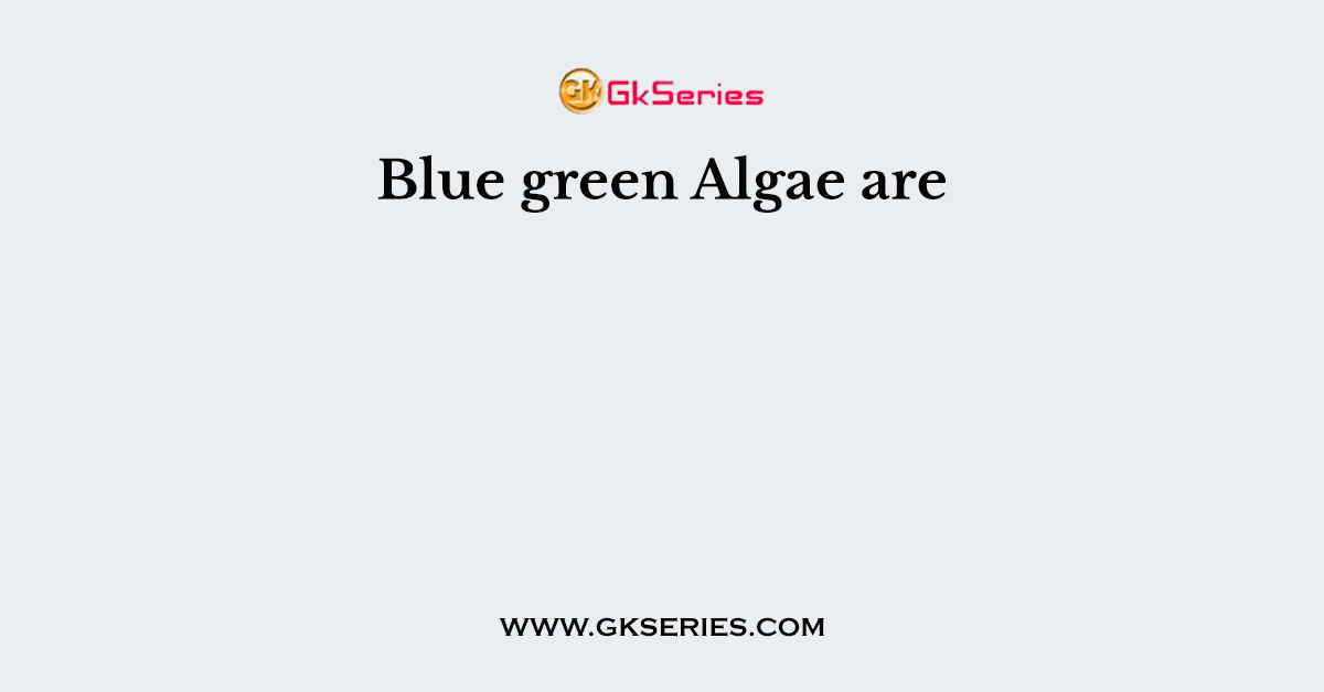 Blue green Algae are