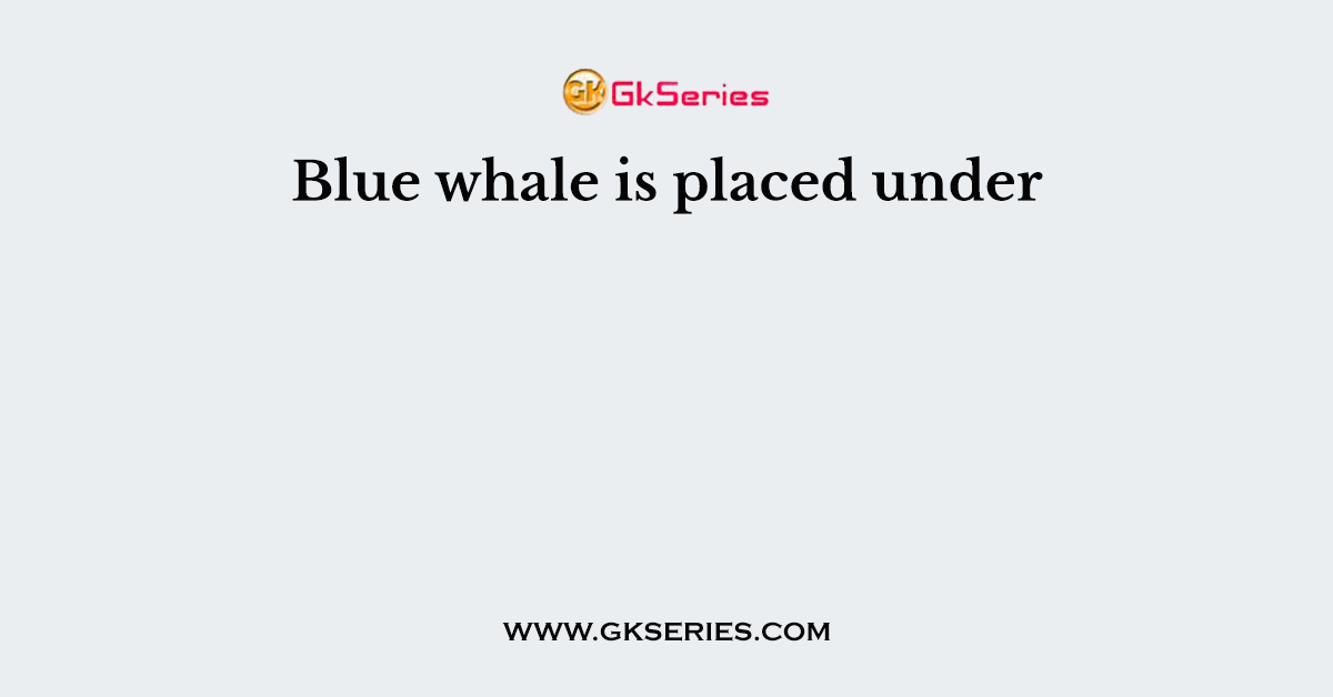 Blue whale is placed under