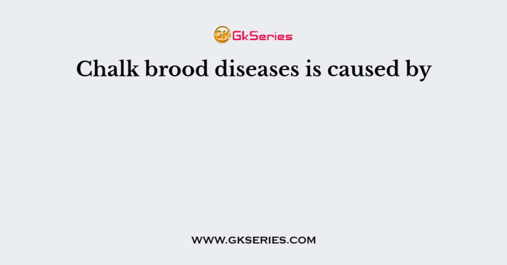 Chalk brood diseases is caused by