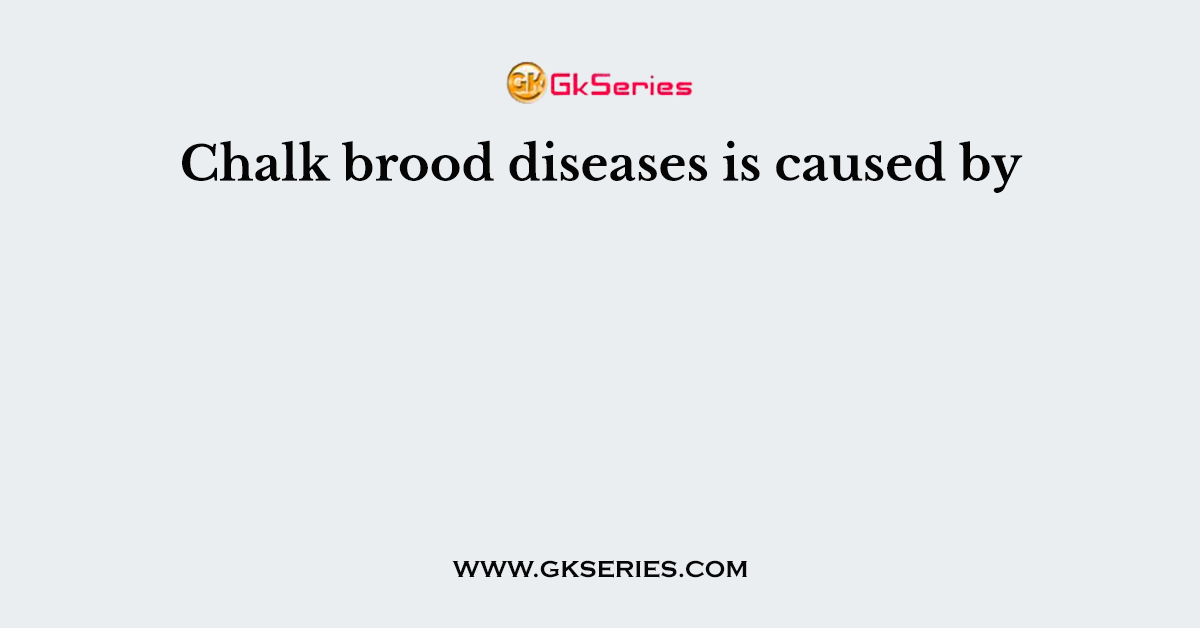 Chalk brood diseases is caused by