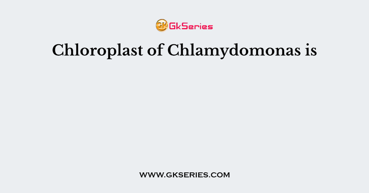 Chloroplast of Chlamydomonas is