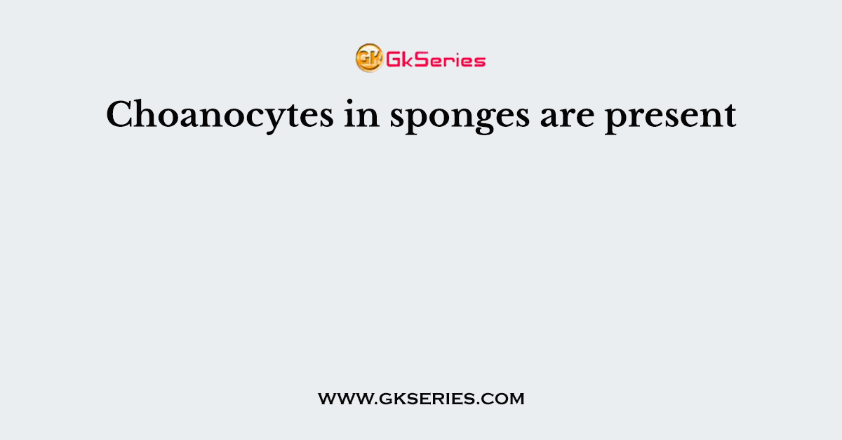 Choanocytes in sponges are present