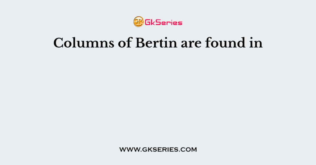 Columns of Bertin are found in