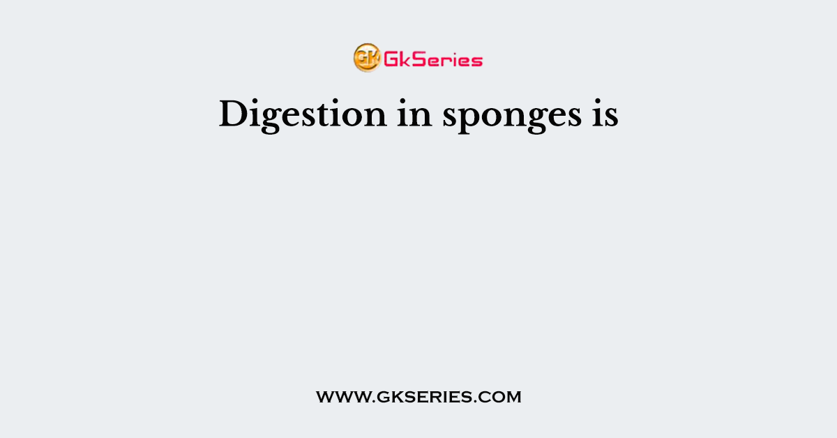 Digestion in sponges is