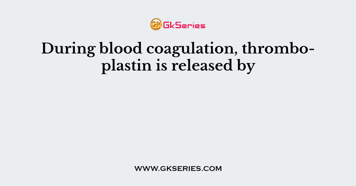 During blood coagulation, thromboplastin is released by
