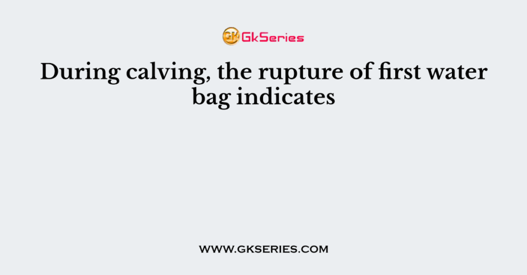 During calving, the rupture of first water bag indicates