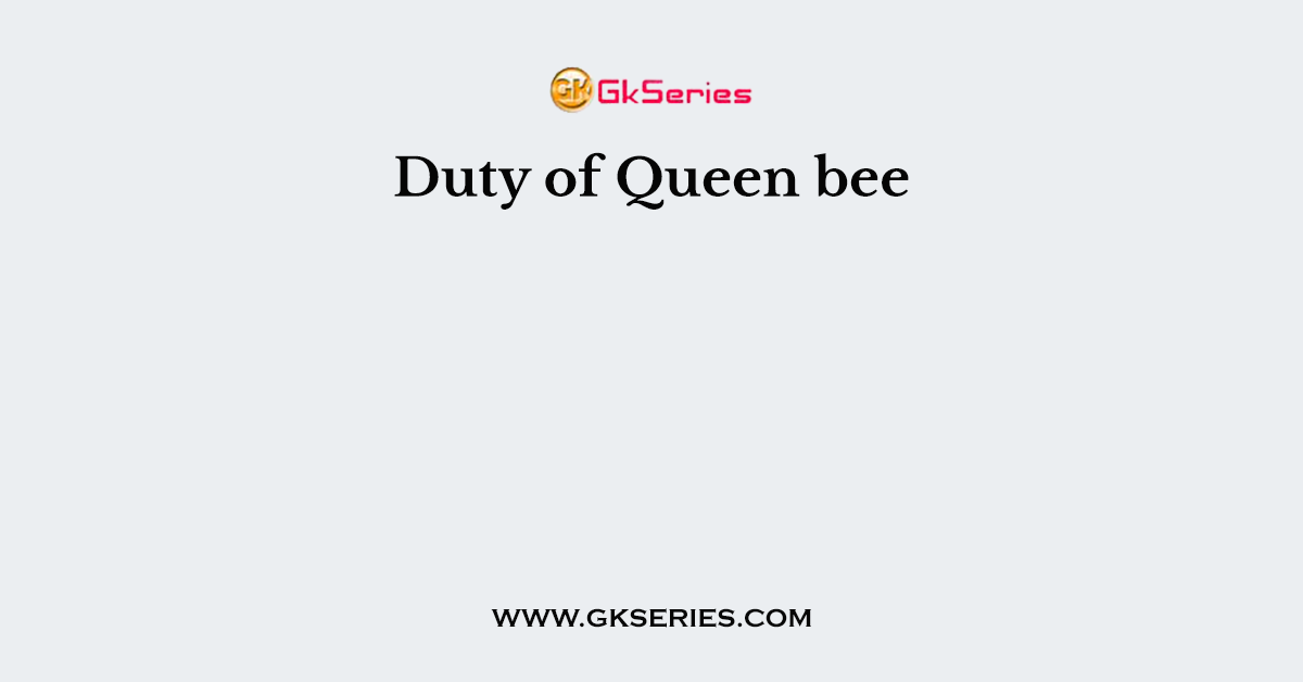 Duty of Queen bee